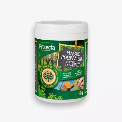 Mastic Polyvalent Cicatrisant & Grreffage 1 kg